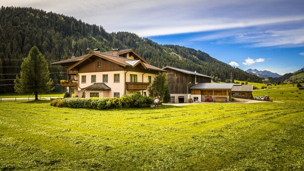 Exterior - Bio-Bauernhof Vierthalerhof (Wagrain)