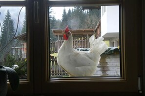 Aktivitäten für Kinder