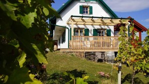 Exterior - Kellerstöckl am Weinblick (Deutsch Schuetzen-Eisenberg)