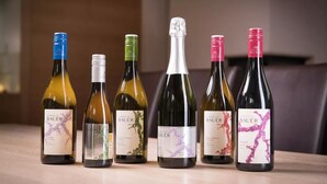 Six bottles of wine with labels, arranged on a wooden surface. - Familie Bauer – Bioweingut Bauer (Großriedenthal)