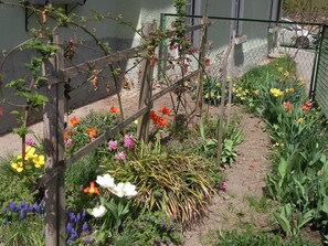 Studio | Garden view
