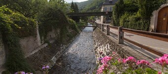 하우스 게스트바우어