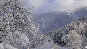 Vista a la montaña