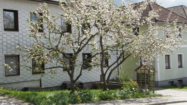 Exterior - Biobauernhof Gollner (Ulrichsberg)
