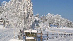 Snow and ski sports - Mittereibenberger (Liebenau)