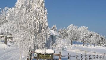 Wintersport/Ski