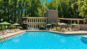 A swimming pool with lounge chairs and umbrellas, surrounded by a building with a flat roof and large windows.
