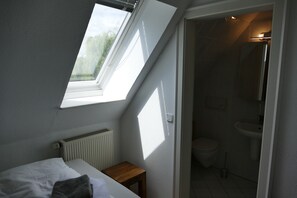 Cozy retreat with a sloped ceiling, skylight, and a compact bathroom featuring a toilet, sink, and mirror.