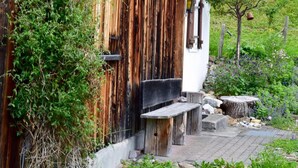 A rustic wooden building with a white lower section, surrounded by greenery and a stone pathway.