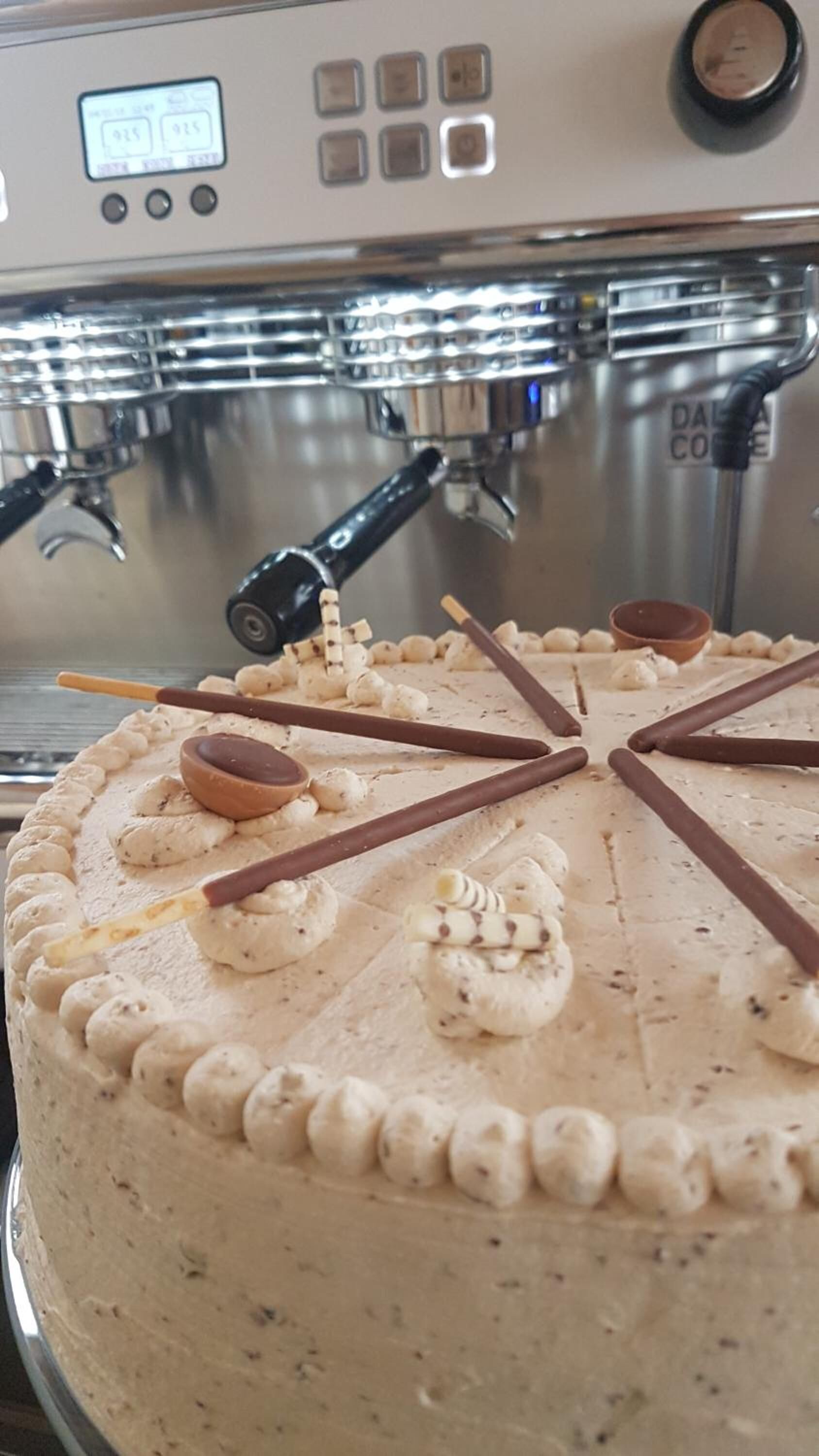 A cake with chocolate sticks and marshmallows on a plate.