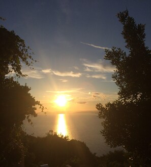 Nicht klassifiziertes Bild, 5 von 13, Schaltfläche