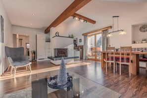 Smart TV, fireplace, books