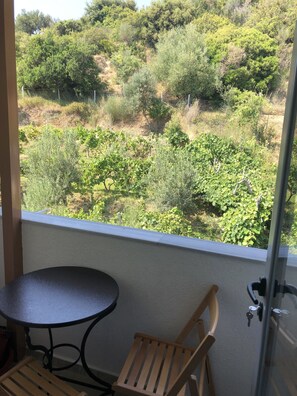 Deluxe Room | Vineyard view