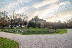 Vista desde la habitación