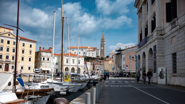 A marina with boats docked along a waterfront, buildings with classical architecture, and a clock tower in the background. - Apartments Amavi (Izola)