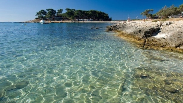 Una playa costera despejada con costas rocosas y una pequeña isla con árboles.