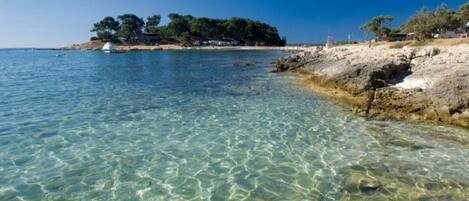 Una spiaggia nelle vicinanze, lettini da mare