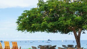A beachside seating area with chairs and a large tree, overlooking the sea with boats. - Spacious Beach-Inspired Condo w/ Resort-Style Amenities & Beach Club Access (Playas del Coco)