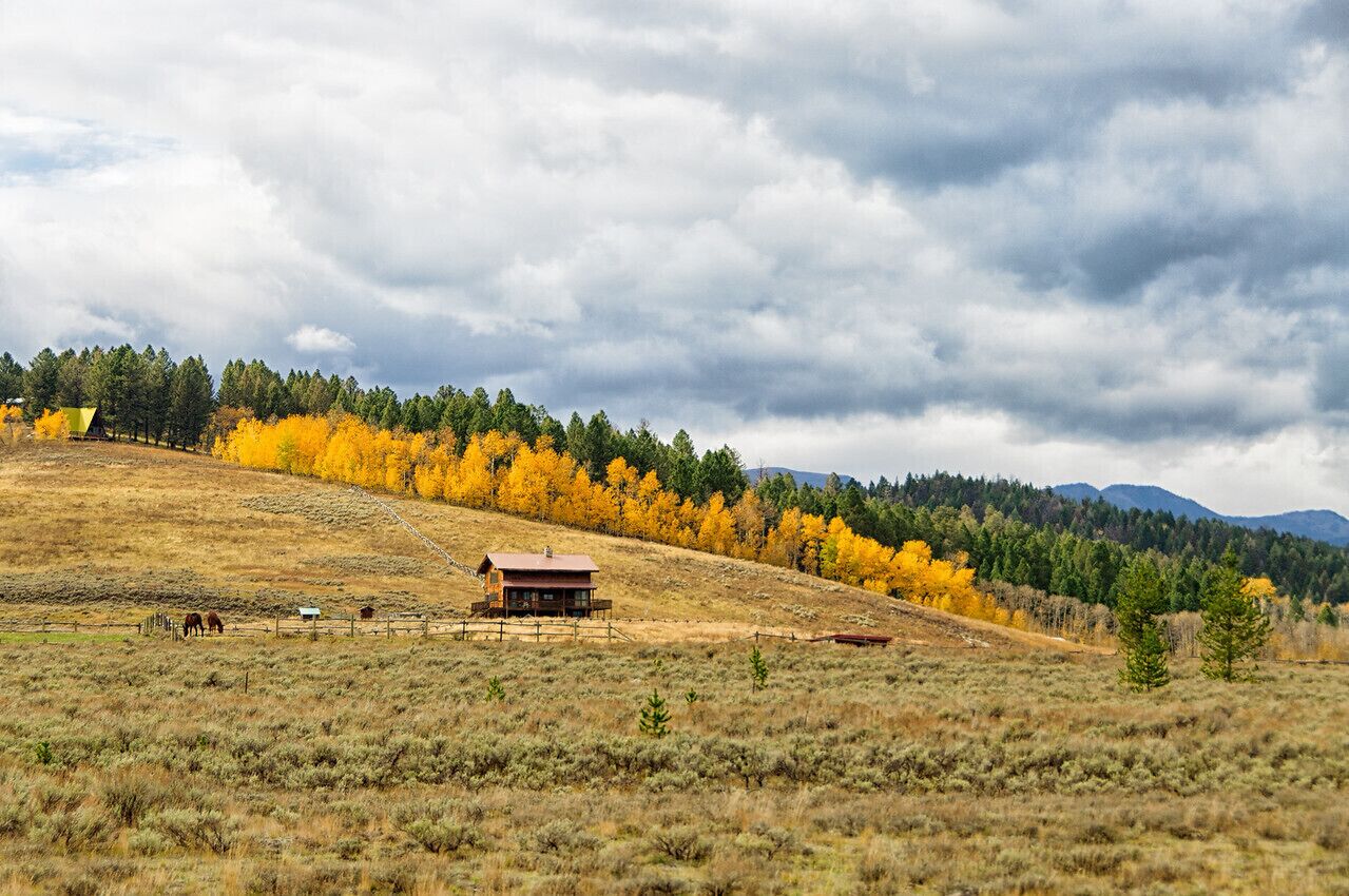 A rustic cabin on a hillside with a forest in the background.