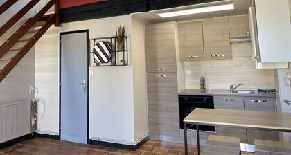 Furnished duplex studio with air-conditioned parking space