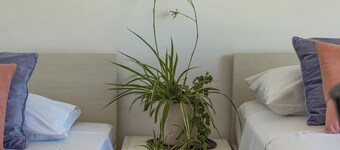 Terra Magica Deluxe Apartment OR Room with Private Parking, Terrace and Sea View