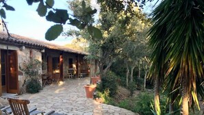 Un patio empedrado con mobiliario de madera, rodeado de exuberante vegetación y un edificio rústico con tejado de tejas.