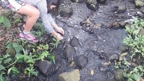 A person crouching near a stream with rocks and vegetation. - Hotel Pacuare Turrialba (Santa Rosa)