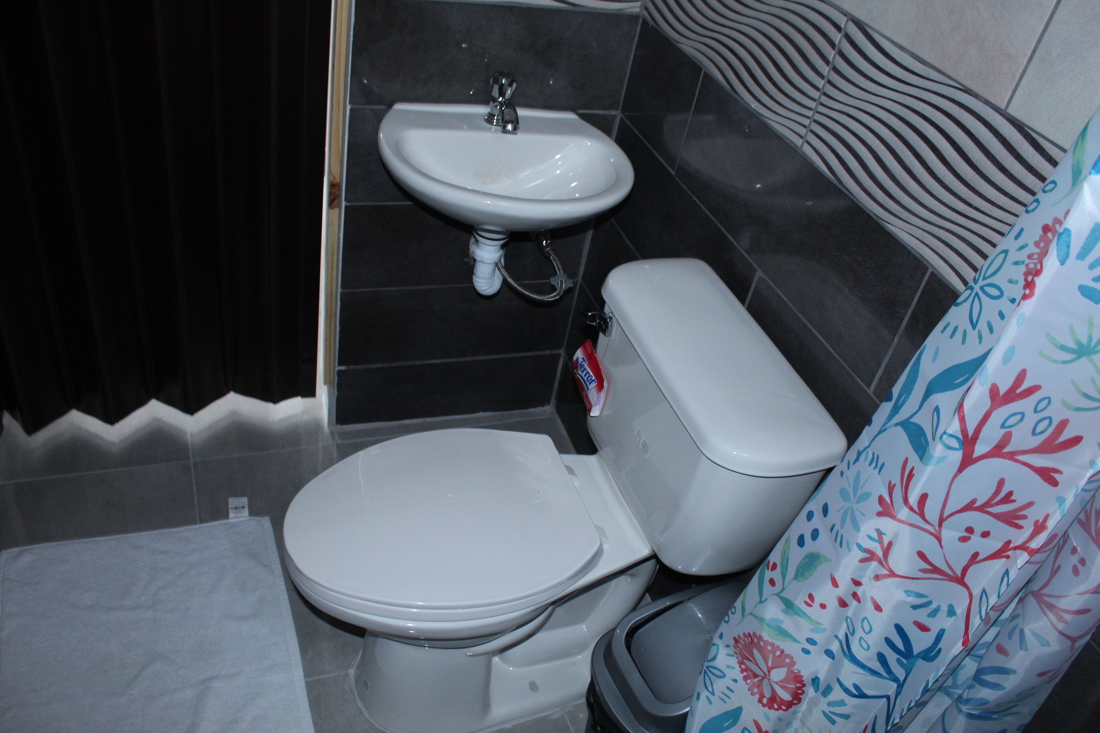 Un baño con inodoro, lavabo y cortina de ducha.
