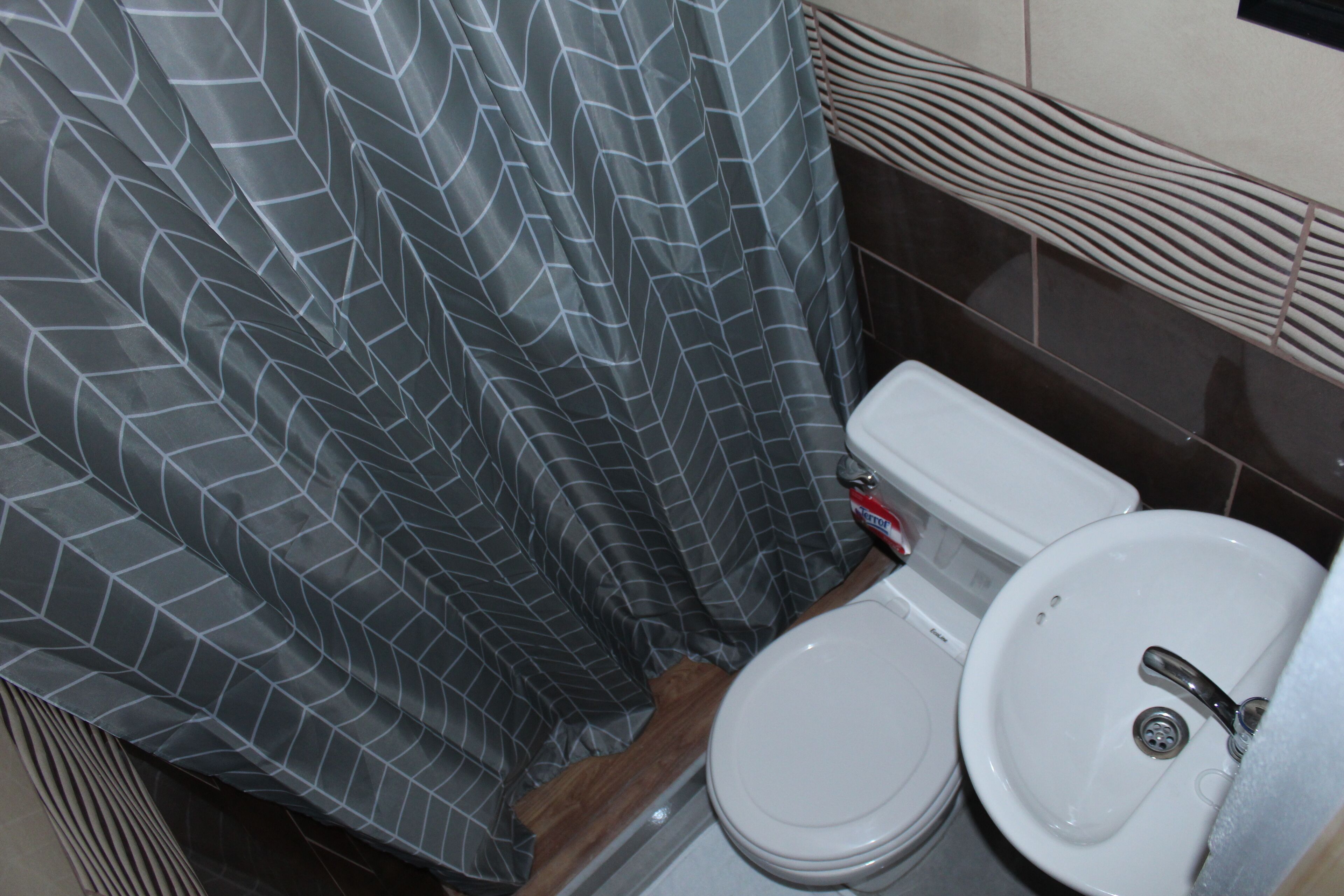 A bathroom with a toilet, sink, and shower curtain.