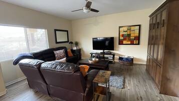 Smart TV, DVD player, books, video library