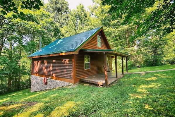 Escape to a secluded cabin surrounded by lush greenery and dense trees.