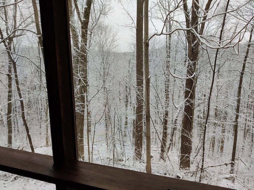 Vista a través de una ventana de una zona boscosa con árboles nevados.