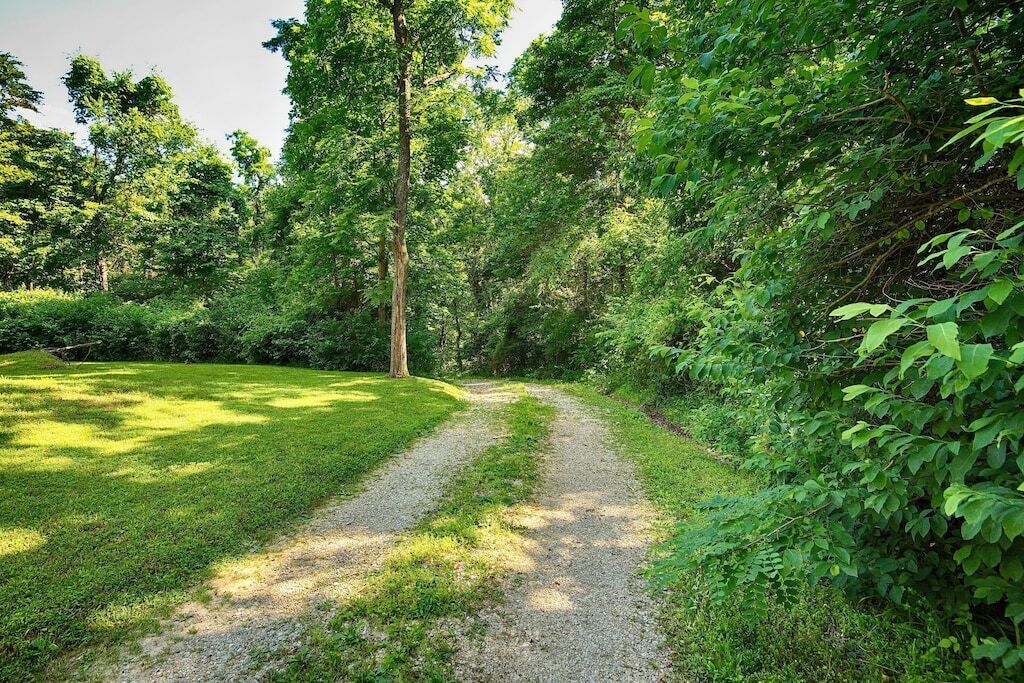 A gravel path through a lush green park with dense foliage on either side.