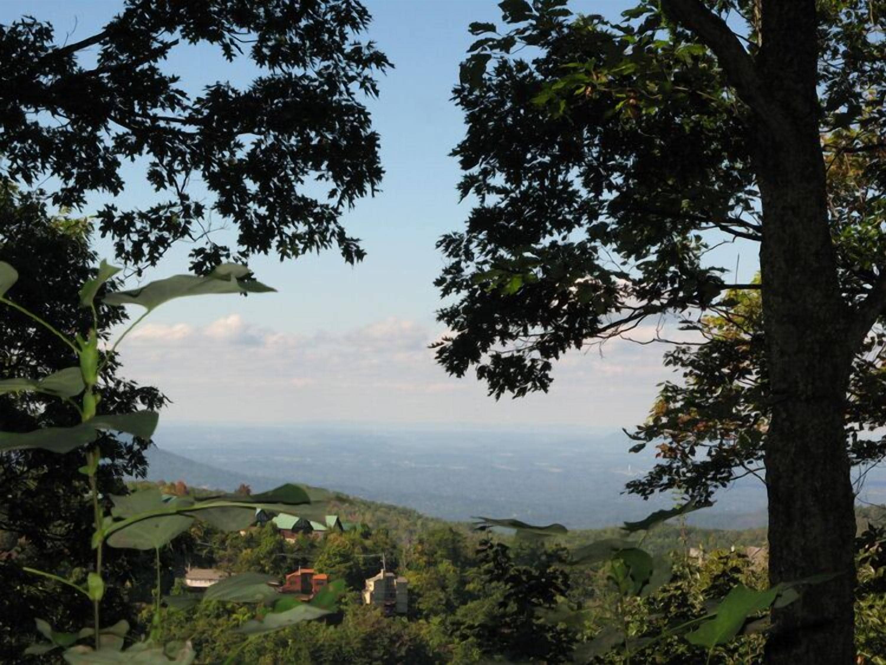 Une vue sur un paysage montagneux, avec quelques bâtiments nichés au milieu des arbres.