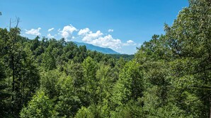 A dense forest with a mountain in the background. - Bear Hunter by Jackson Mountain Rentals (Sevierville)