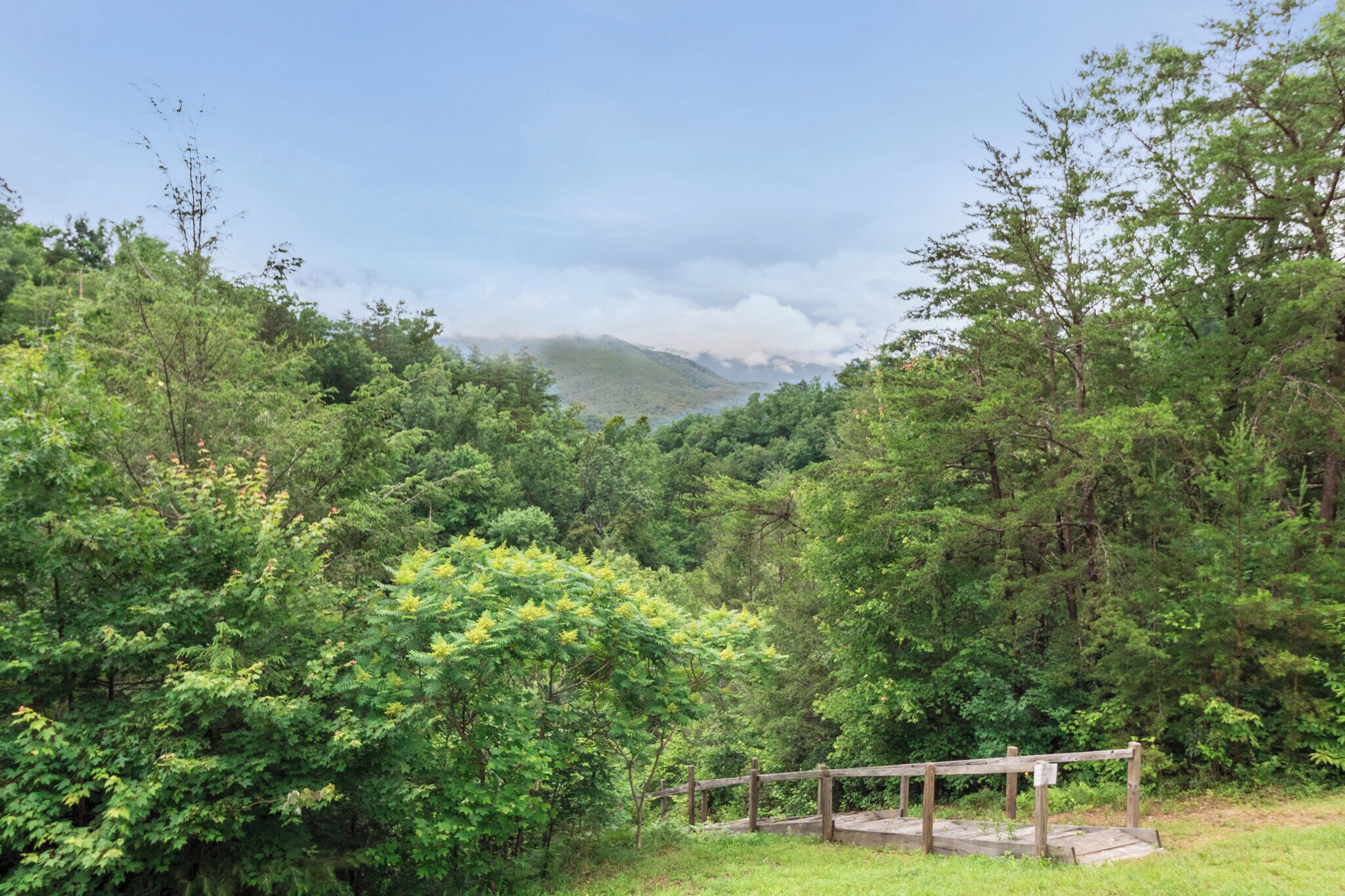 A forested area with a wooden bench and a concrete platform.