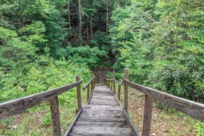 Eine Holztreppe, umgeben von dichtem Grün.