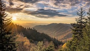 Studio (1 Bedroom) | Property amenity - African Safari by Jackson Mountain Rentals (Sevierville)