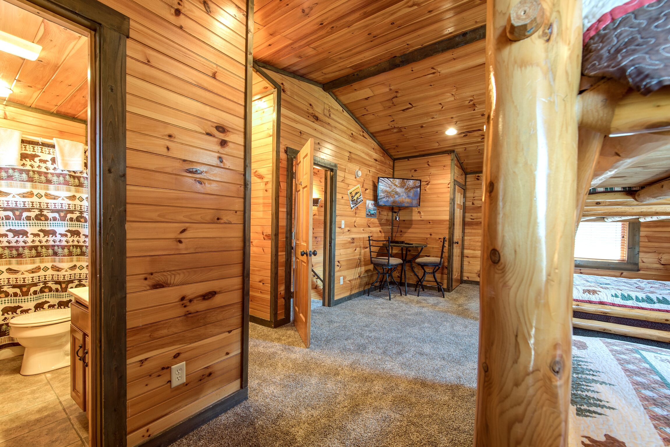 A wooden interior with a visible toilet, a television mounted on the wall, and a carpeted floor.