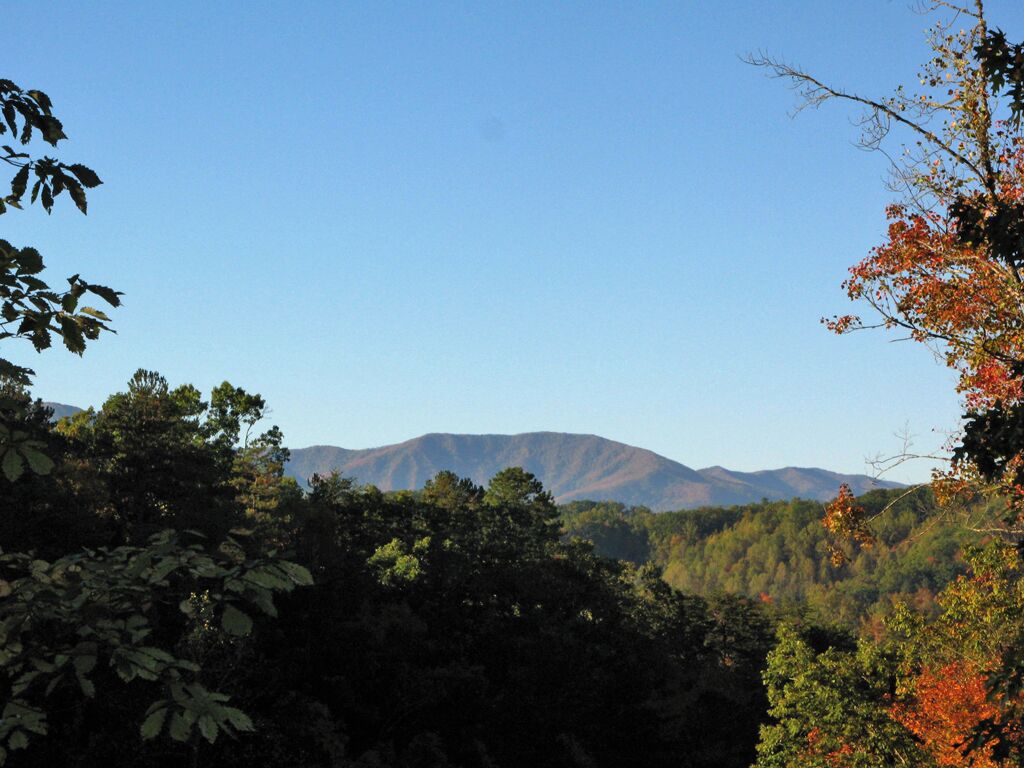 A mountainous landscape with dense forest in the foreground and a clear sky.