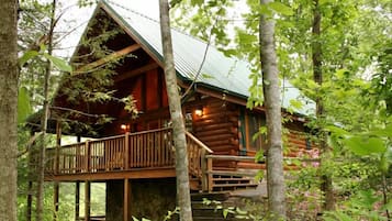 Studio (2 Bedrooms) | Property amenity