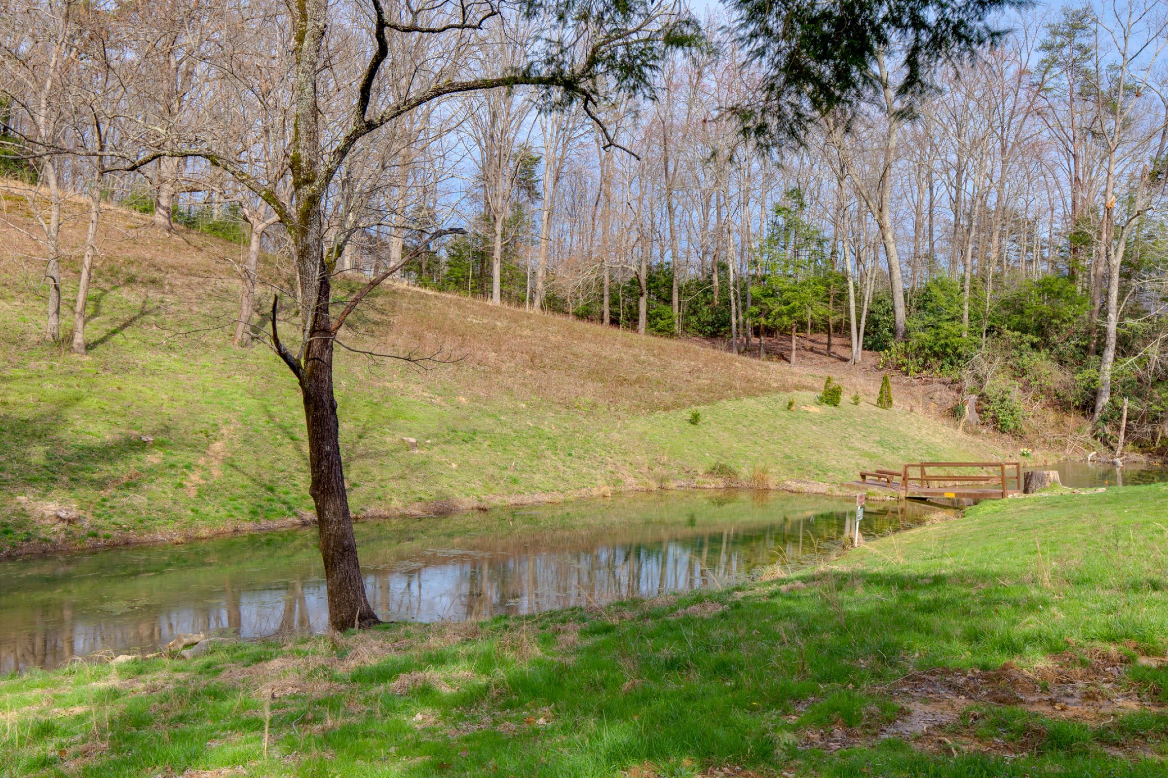 A serene riverside scene with a wooden bridge, grassy banks, and trees.