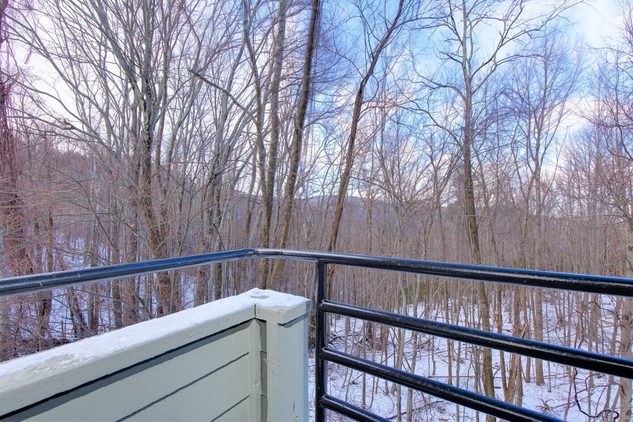 Blick von einem Balkon mit Metallgeländer auf eine bewaldete Landschaft mit kahlen Bäumen und schneebedecktem Boden.
