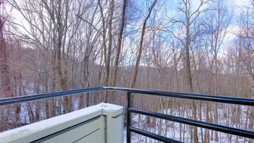 Blick von einem Balkon mit Metallgeländer auf eine bewaldete Landschaft mit kahlen Bäumen und schneebedecktem Boden.