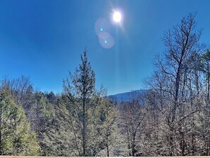 Studio (4 Bedrooms) | Property amenity - The Moose is Loose by Jackson Mountain Rentals (Gatlinburg)