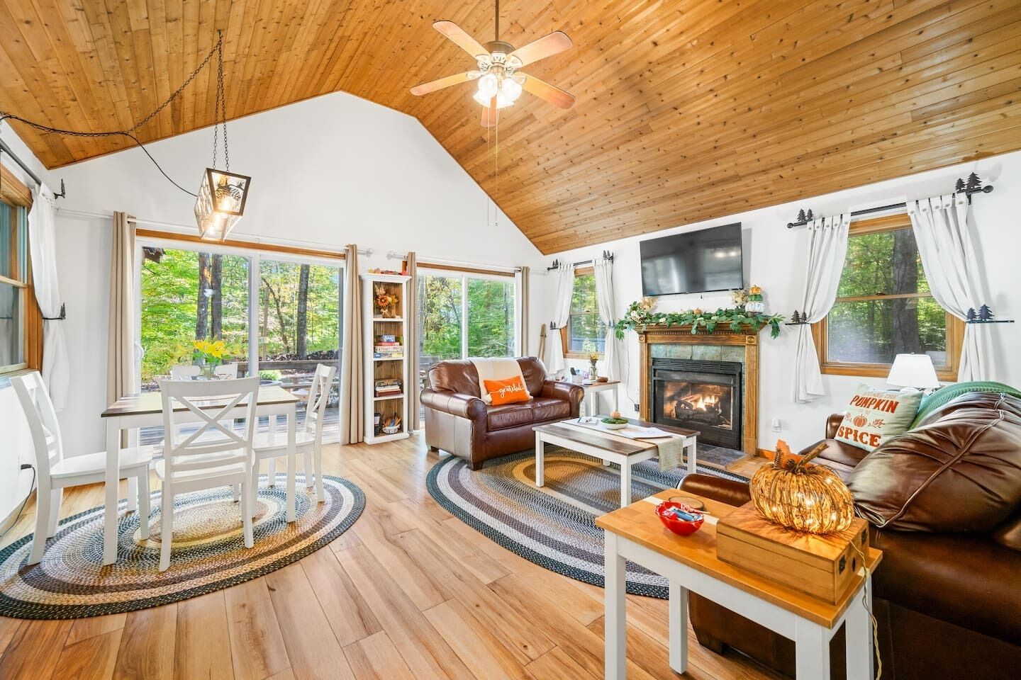 TV, fireplace, books