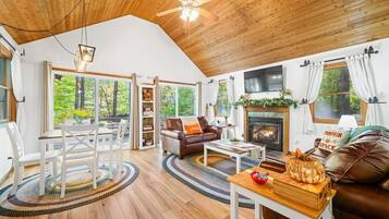 TV, fireplace, books