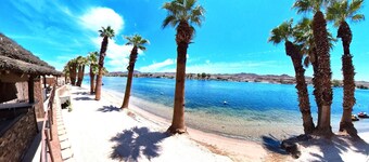 The Beachfront Villa 11