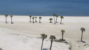 A sandy beach with several palm trees and a clear view of the ocean.