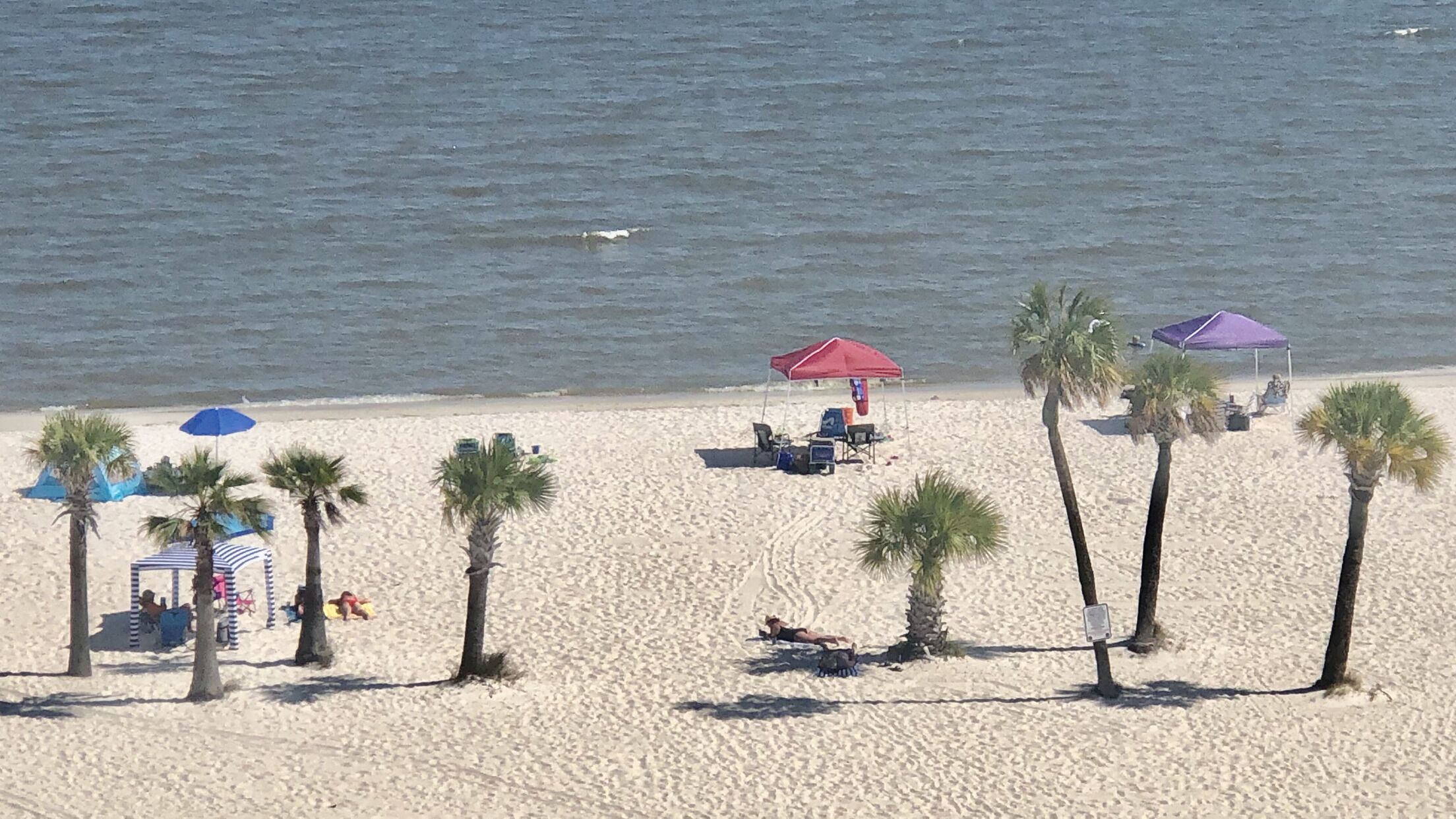 Ein Strand mit Palmen, Sonnenschirmen und Liegestühlen.